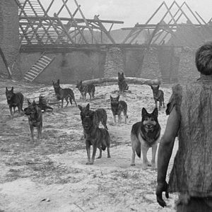 Fotoğraf Marketa Lazarová