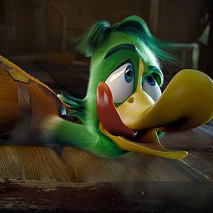 Fotoğraf Kahraman Ördek