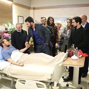 Fotoğraf Kertenkele