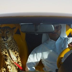 Fotoğraf The Challenge