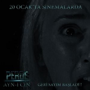 Fotoğraf Perde Ayn-ı Cin