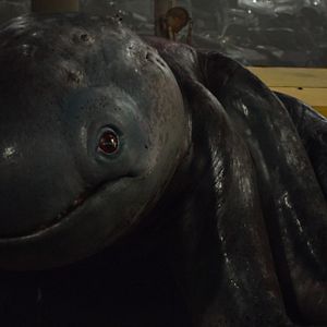 Fotoğraf Canavar Kamyonlar