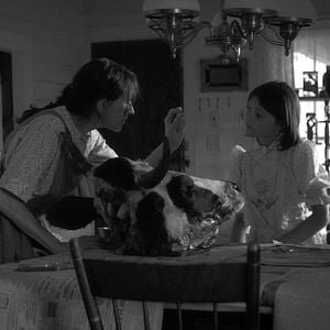 Fotoğraf The Eyes Of My Mother