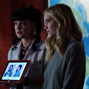 Fotoğraf Pauley Perrette