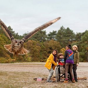 Fotoğraf Hiba Ghafry