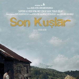 Fotoğraf Son Kuşlar