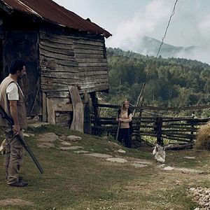 Fotoğraf Son Kuşlar