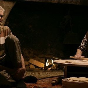 Fotoğraf Son Kuşlar