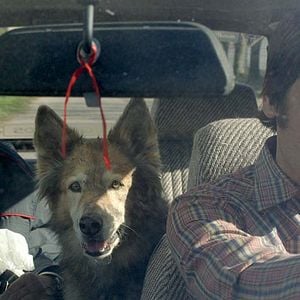 Fotoğraf Ernesto Suárez (II)