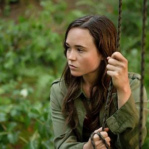 Fotoğraf Into the Forest