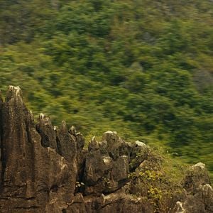 Fotoğraf Kong: Kafatası Adası