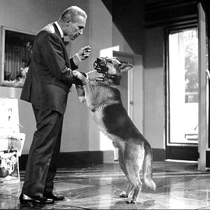 Fotoğraf Die 1000 Augen des Dr. Mabuse