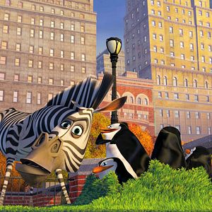 Fotoğraf Madagaskar