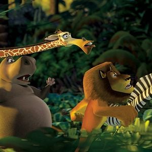 Fotoğraf Madagaskar