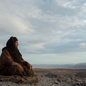 Fotoğraf Last Days in the Desert