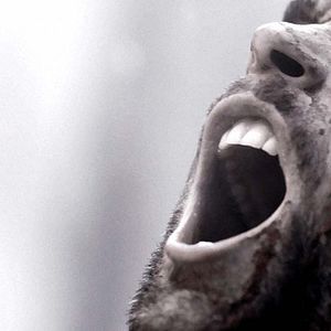 Fotoğraf Stanley Weber