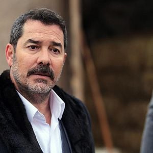 Fotoğraf Kırlangıç Fırtınası