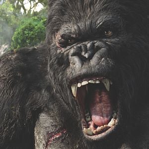 Fotoğraf King Kong
