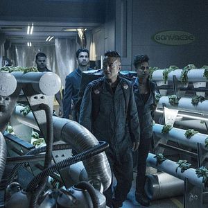 Fotoğraf Dominique Tipper