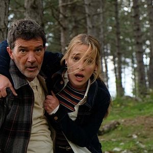 Fotoğraf Black Butterfly