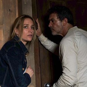 Fotoğraf Black Butterfly