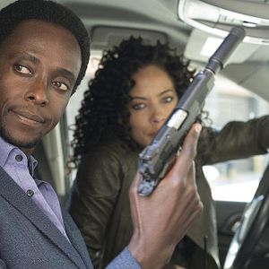 Fotoğraf Tawny Cypress