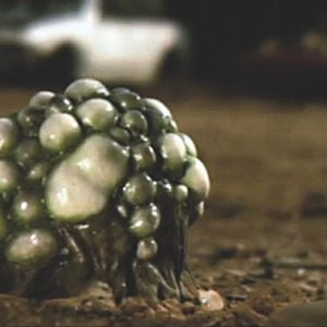 Fotoğraf Alien Opponent