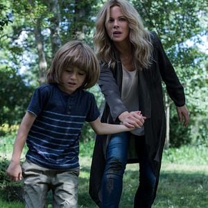 Fotoğraf The Disappointments Room