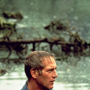 Fotoğraf Paul Newman