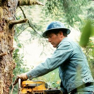 Fotoğraf Paul Newman