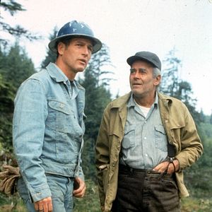 Fotoğraf Paul Newman