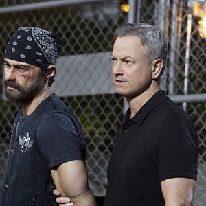 Fotoğraf Gary Sinise