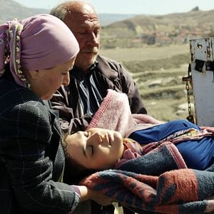 Fotoğraf Kırlangıç Fırtınası