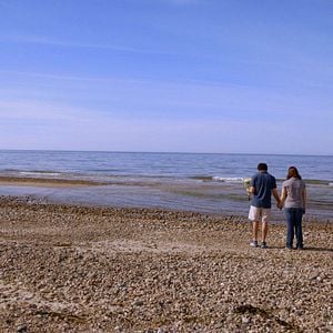 Fotoğraf Life, Animated