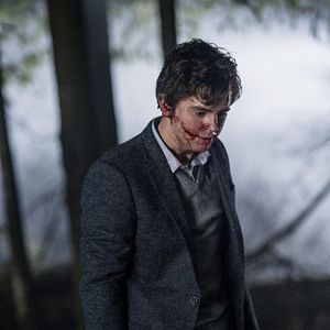 Fotoğraf Freddie Highmore