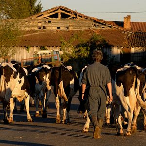 Fotoğraf Petit Paysan