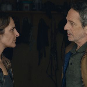 Fotoğraf Los perros