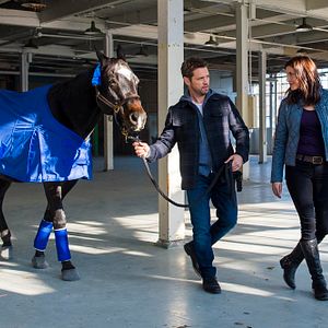 Fotoğraf Jason Priestley