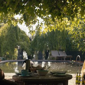 Fotoğraf Los perros