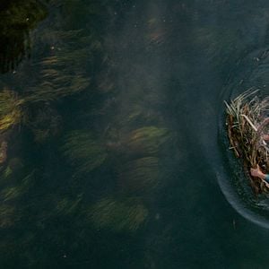 Fotoğraf Aşk ve Savaş