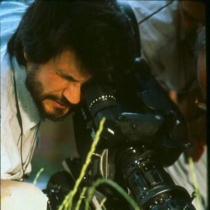 Fotoğraf Ayva Ağacı Güneşi