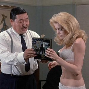 Fotoğraf Gündüz Güzeli