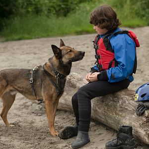 Fotoğraf Max 2: White House Hero