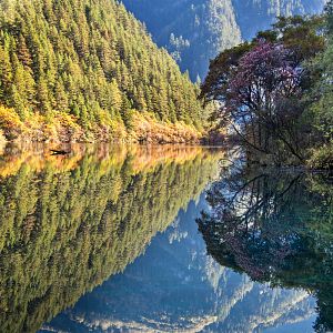 Fotoğraf Born In China