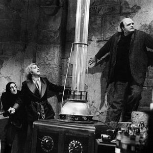 Fotoğraf Young Frankenstein