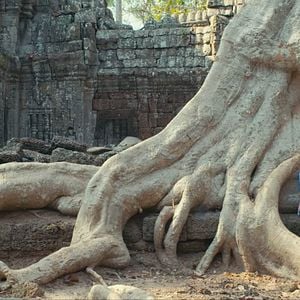 Fotoğraf Agathe Bonitzer