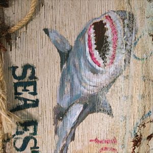 Fotoğraf Denizde Dehşet