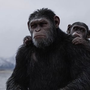 Fotoğraf Maymunlar Cehennemi: Savaş