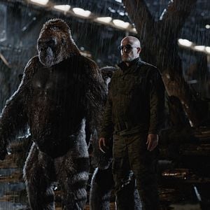 Fotoğraf Woody Harrelson