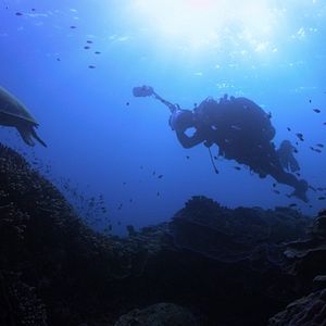 Fotoğraf Mercan Peşinde